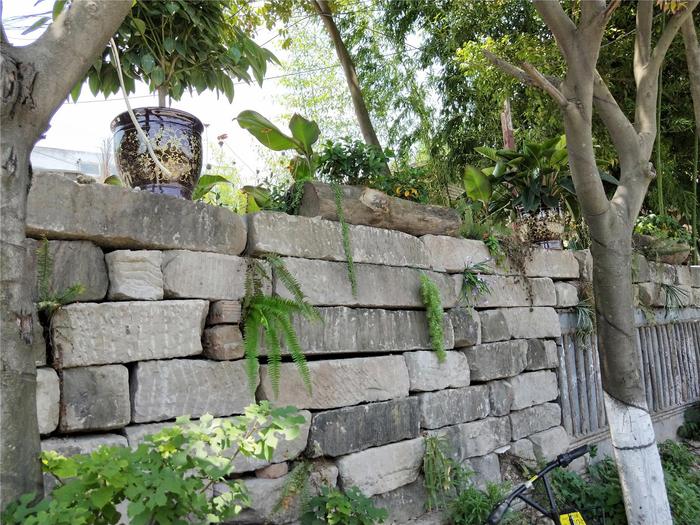 90后小伙回农场投资百万种果园,70后大叔创造奇迹种地赚100万