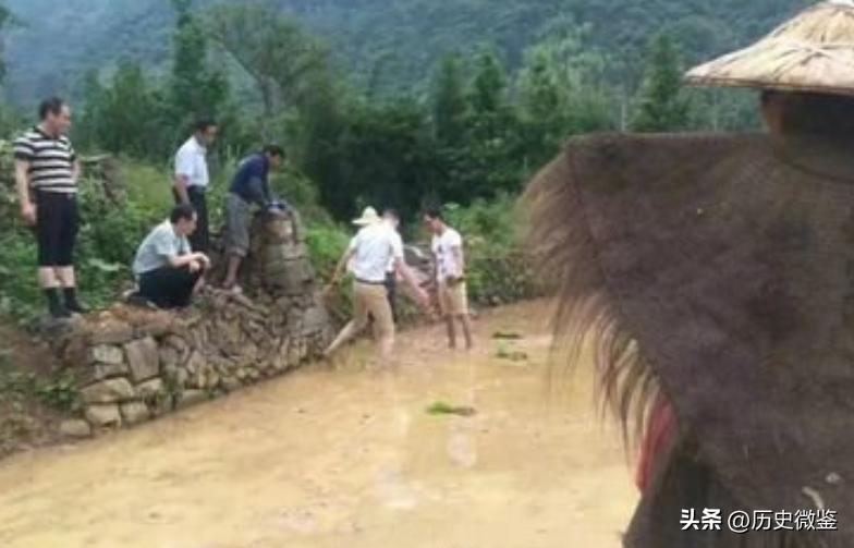 放弃百万年薪回农村种地,放弃30万年薪回农村