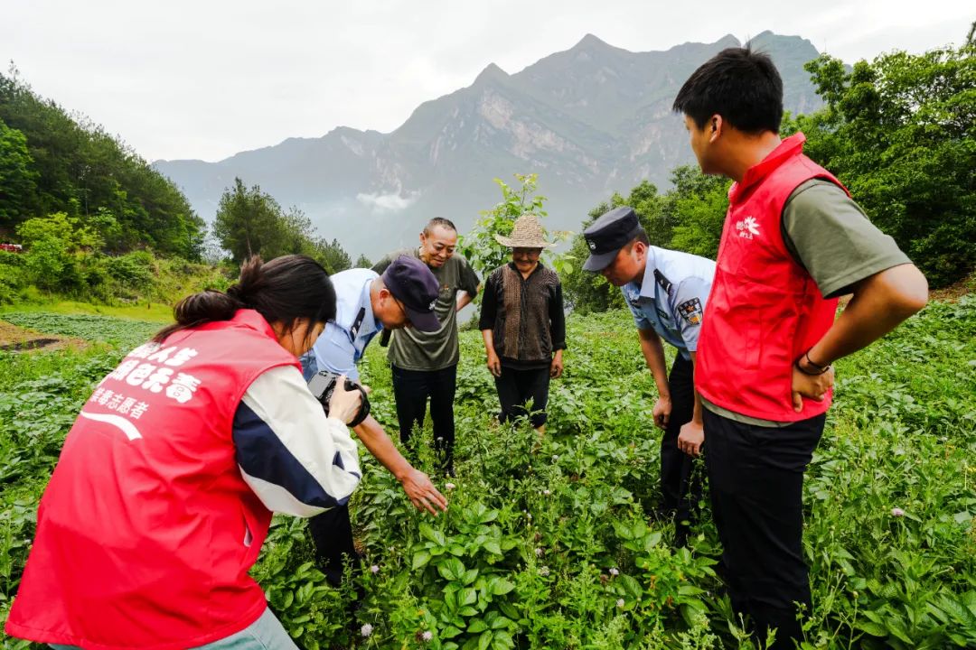 禁毒宣传不停歇同心共筑防毒网,6.26国际禁毒日四川直播