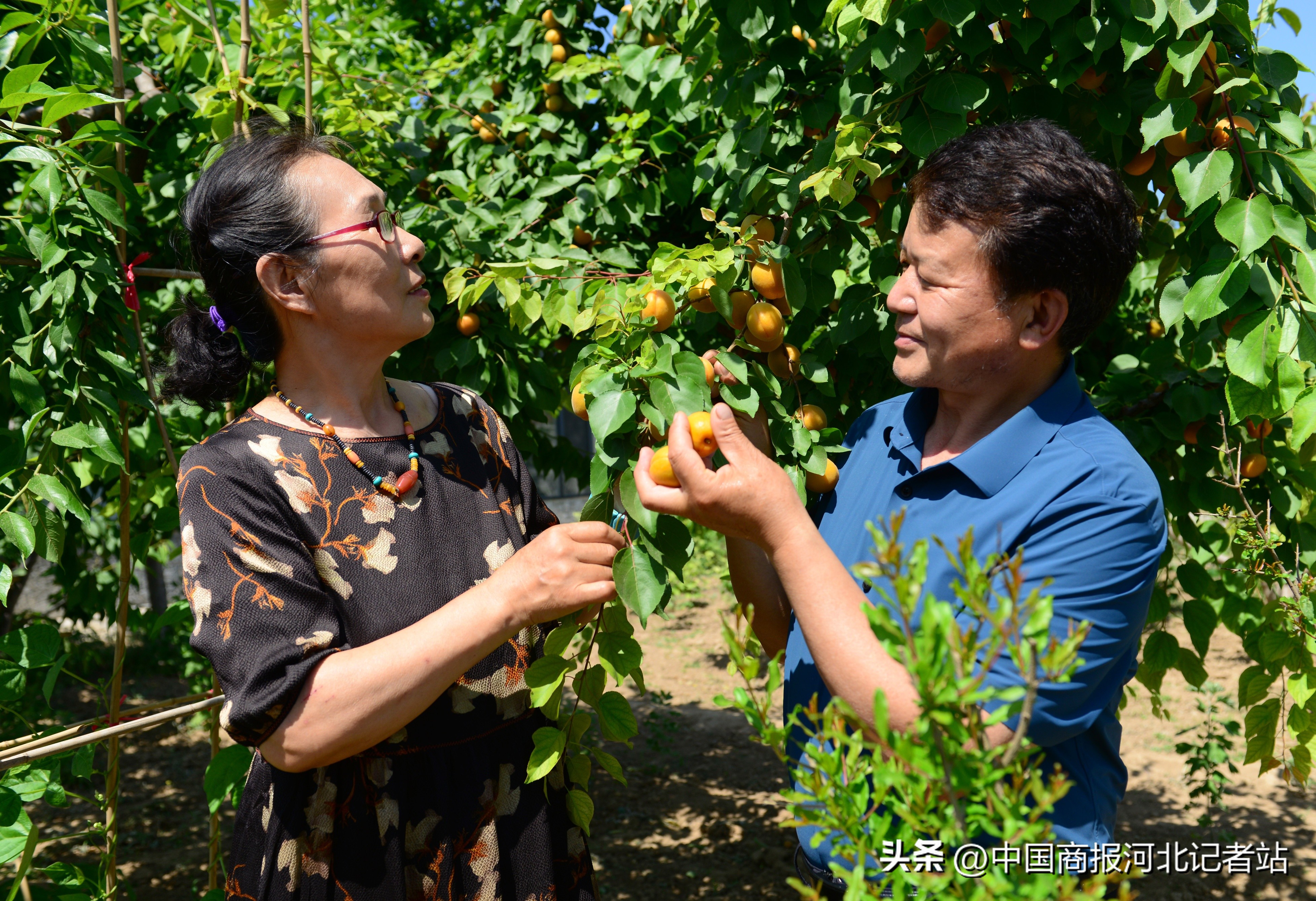 大校村官石炳启平凡岗位再立新功,大校村官石炳启的一天