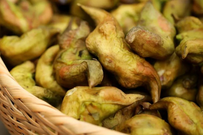 5月种菜好吃又营养,冷门又好吃的10种菜