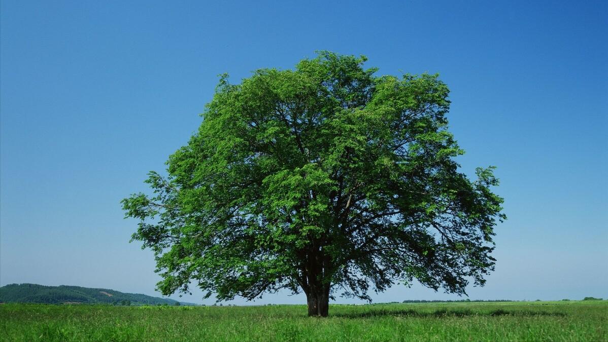 未来最好做的生意就是降维打击,商业模式创新从来都是降维打击