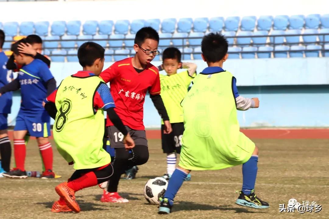 体教融合完善青少年体育赛事体系,体教融合青少年篮球比赛