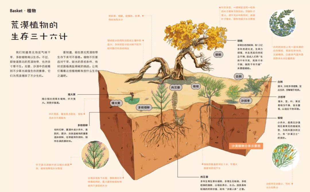 10本值得读的好书,30本不容错过的中信好书