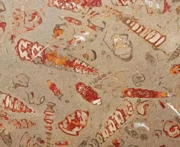 藏不住的奢华大理石系列,精致到极致的大理石