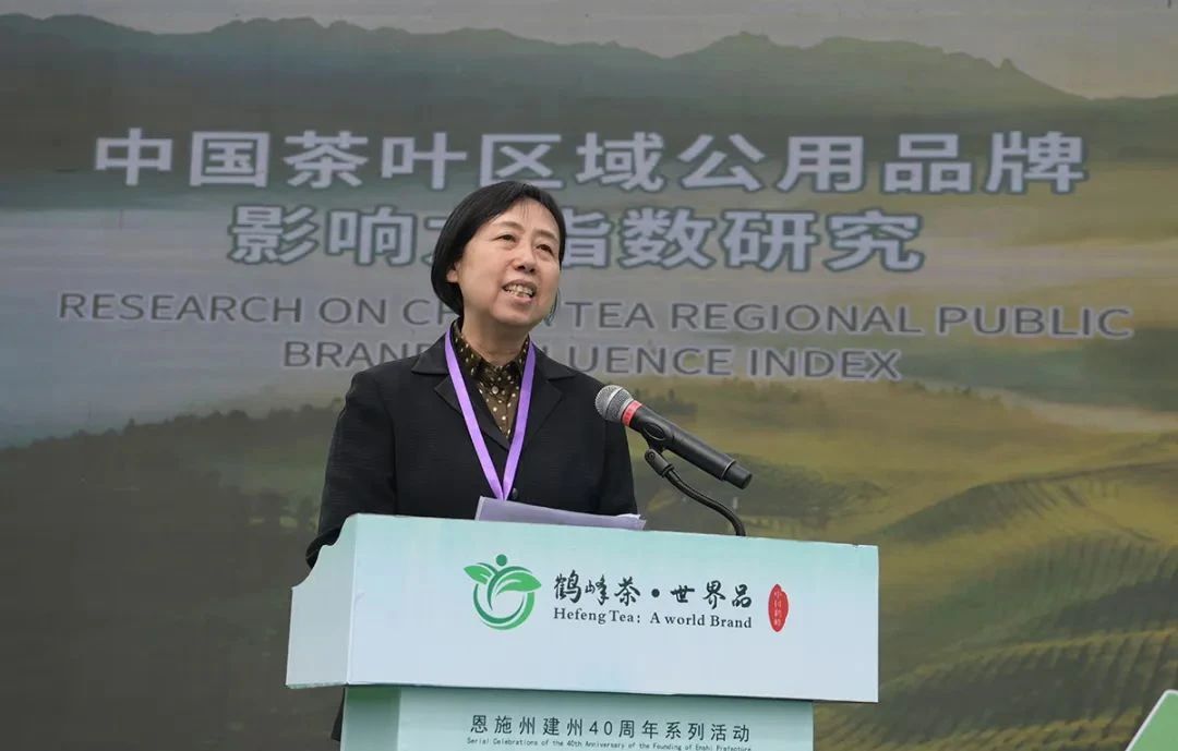 武夷岩茶十大茶叶品牌排行榜,安溪铁观音永不被超越的经典茶