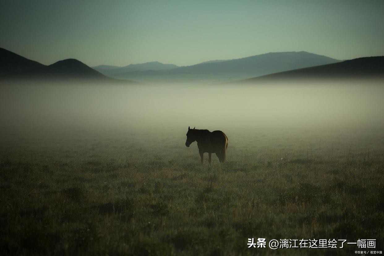 短篇言情小说72篇,青春言情小说正版