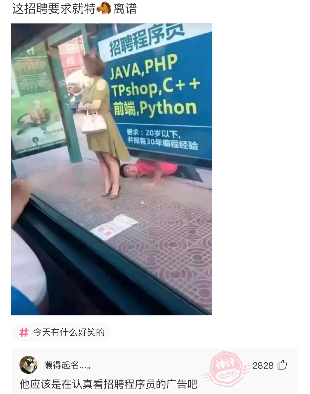 爆笑吐槽侮辱人的智商,盘点侮辱性极强的十大爆笑集锦