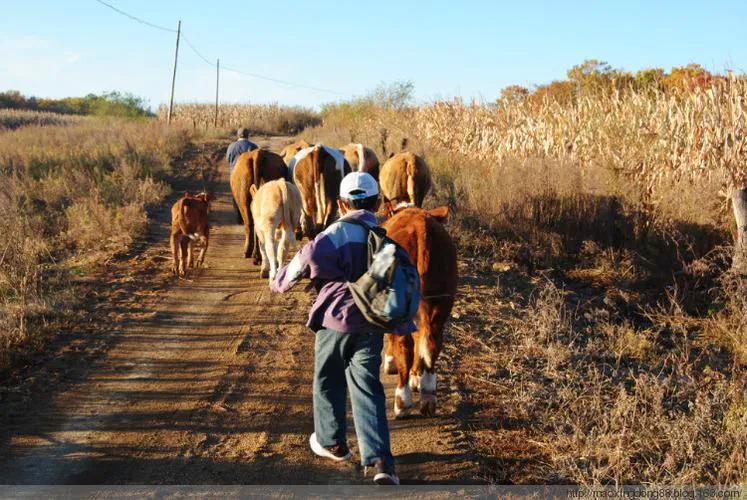 “广西第一贪”的特殊喜好，将发生性关系的女人们照片锁进密码箱
