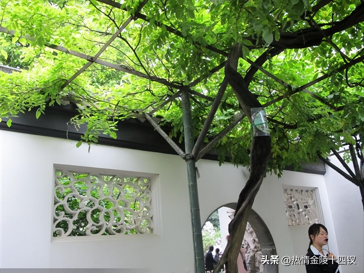 南京夫子庙金陵第一园瞻园,游金陵1-40集完整