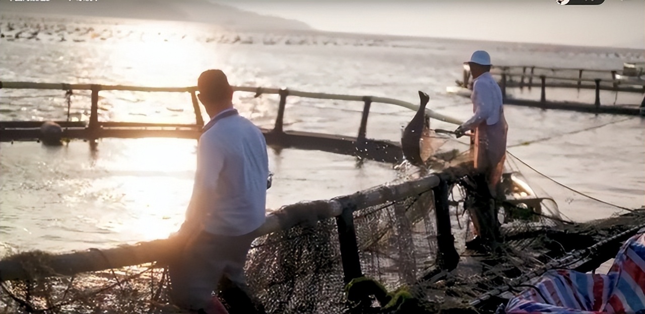 在鲜味江湖里，广东这座小城堪称食客天堂