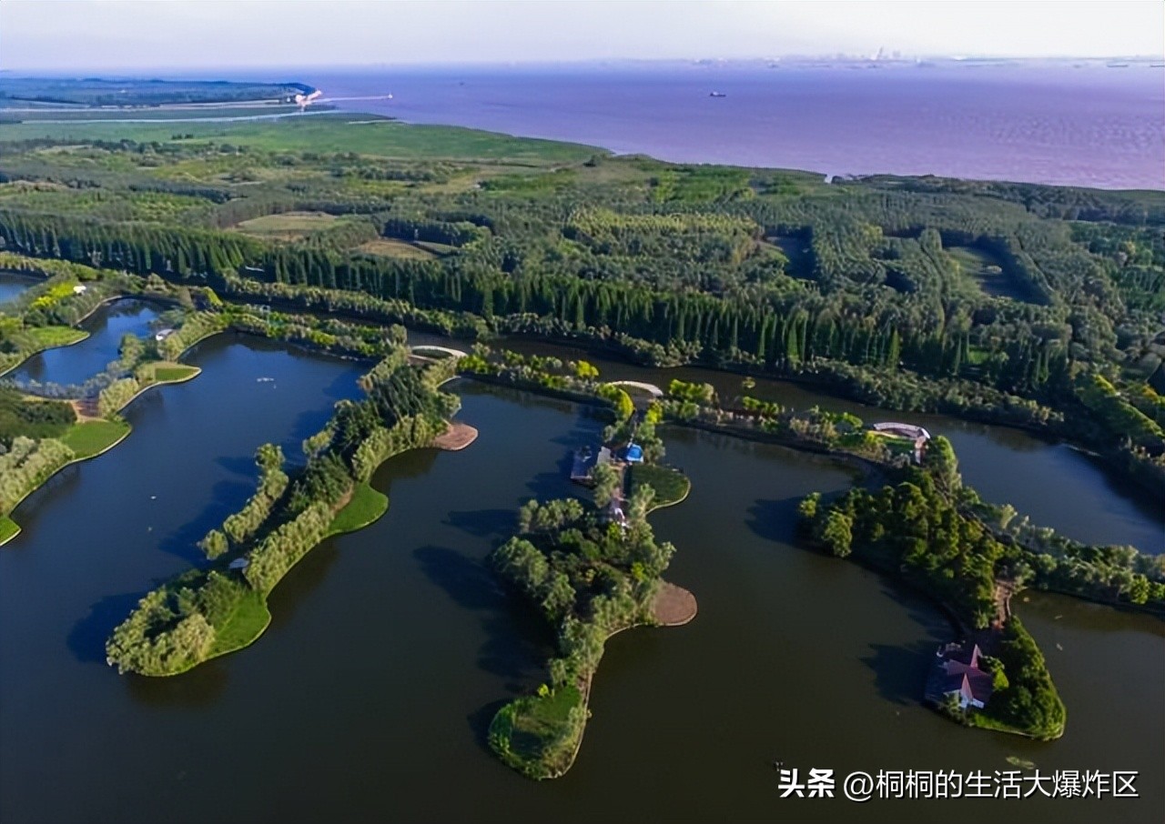 广州适合搭帐篷露营的地方 (广州户外免费露营地推荐)