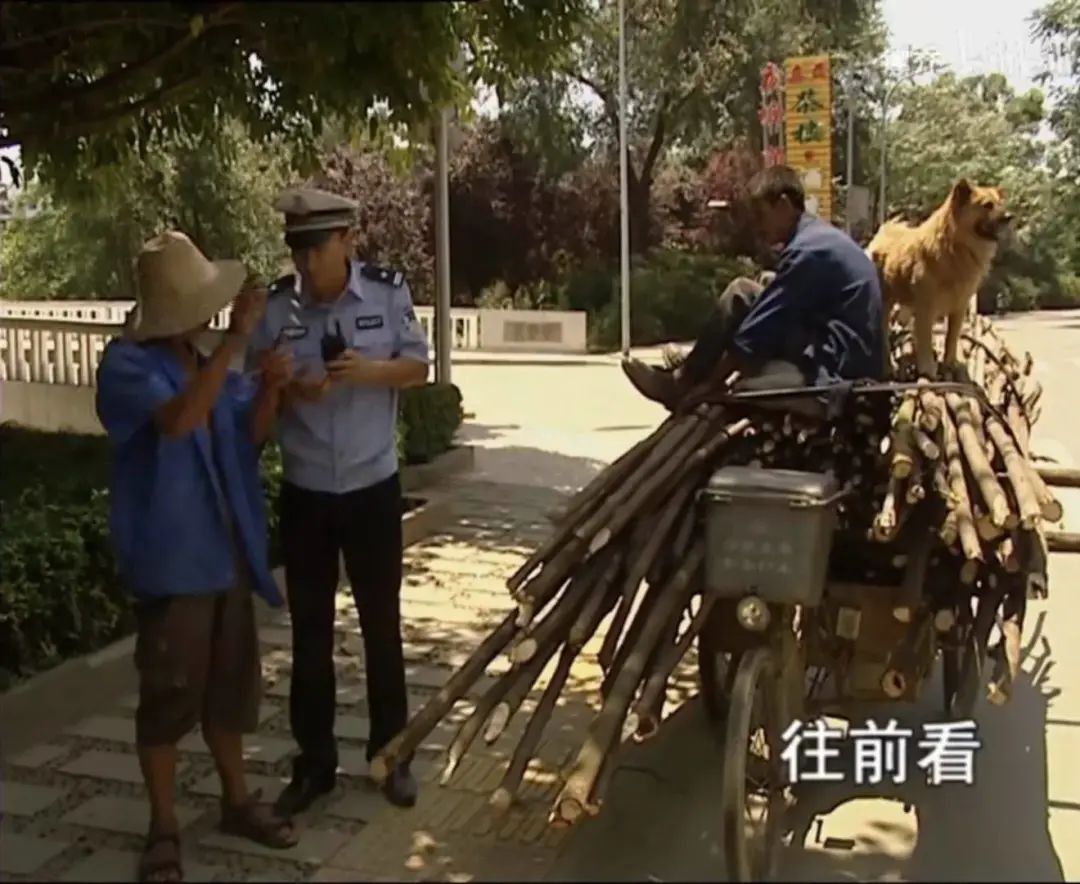 10年代中国综艺巅峰,10年前的国产恋爱综艺