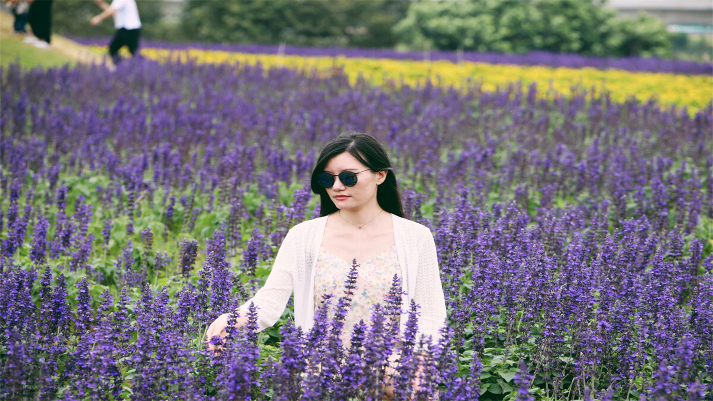 往事如风一切如梦,往事如风人生如梦岁月如歌