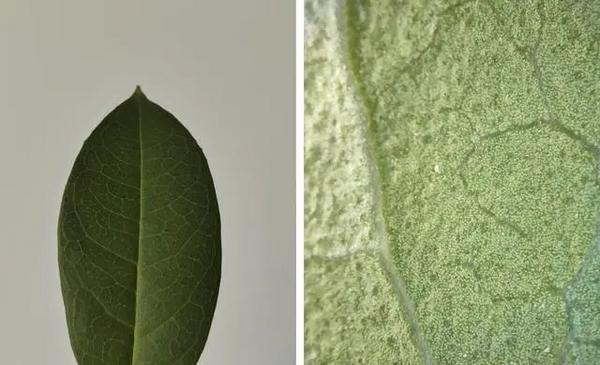 最便宜的1t内存手机,最便宜的1t手机二手