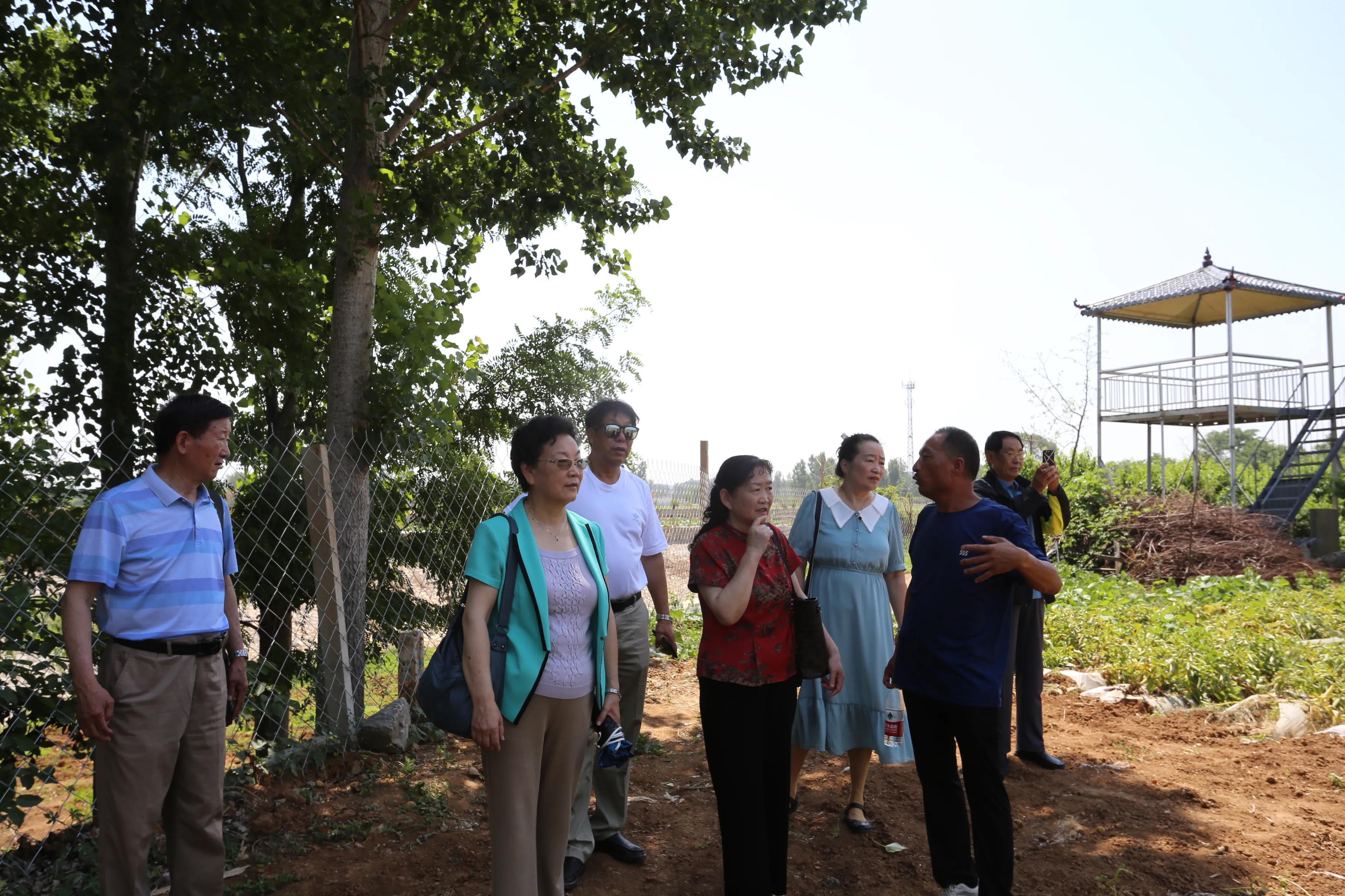 唠家常叙亲情谈未来老知青回访辘轳井记者杨军孙明春