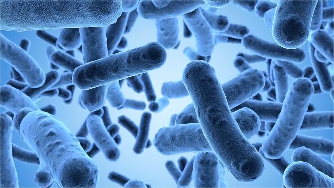 女性私护有酸奶味正常吗,女性有酸奶味