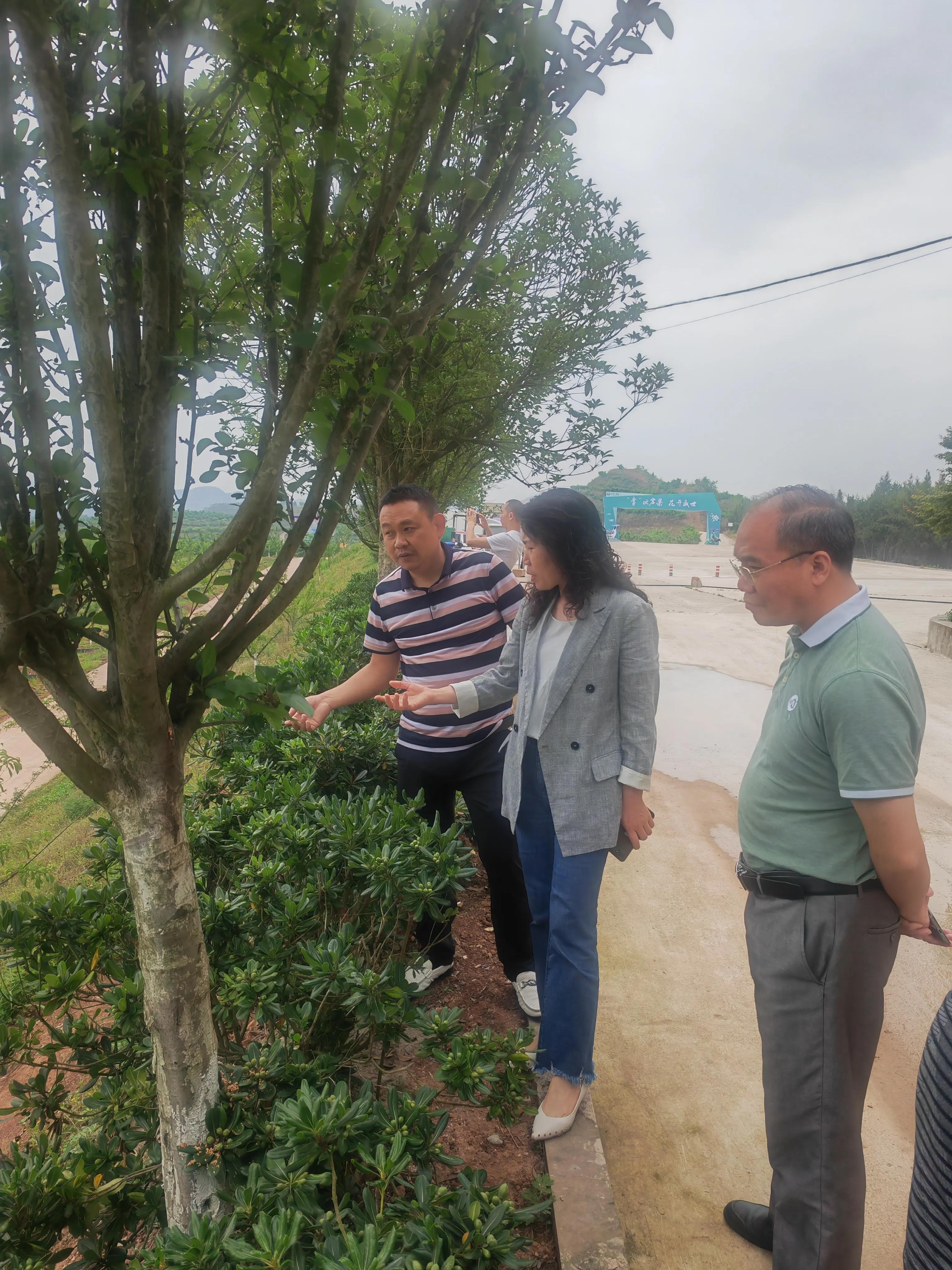 把脉会诊科技赋能四川硕源农业发展