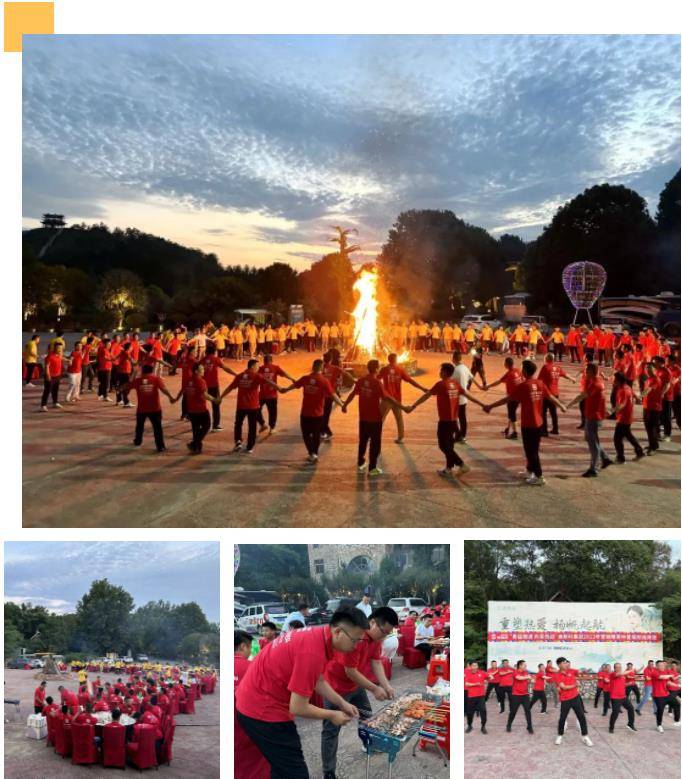 迪斯科集团,迪斯科集团公司