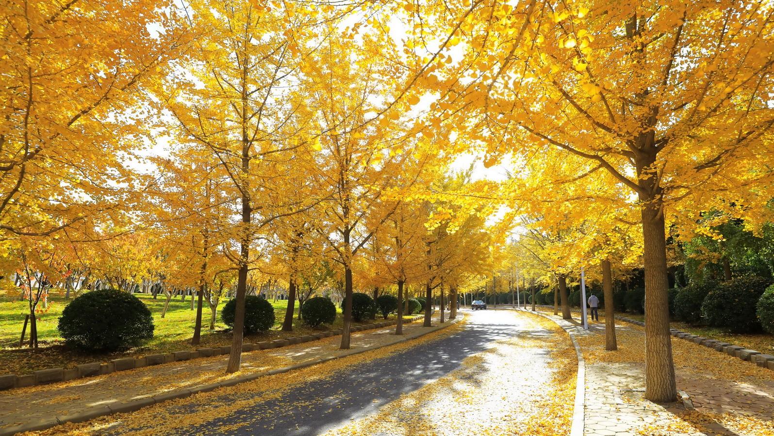 东北财经大学VS江西财经大学，整体实力谁更强？