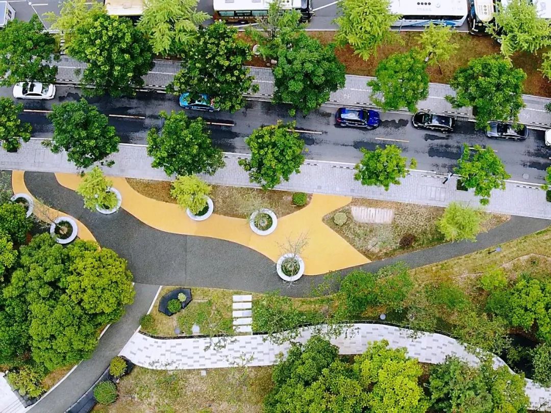 杭州夜间户外打卡地,杭州城西野球场