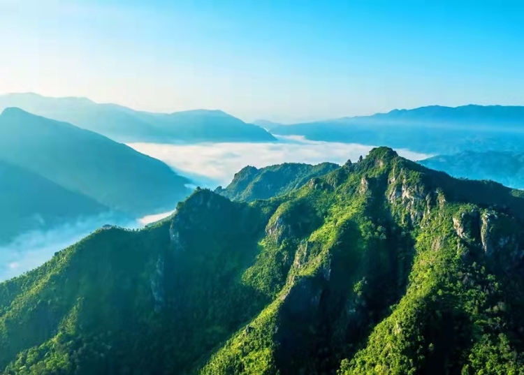 温州一日游必去的地方,温州必去旅游景点有哪些