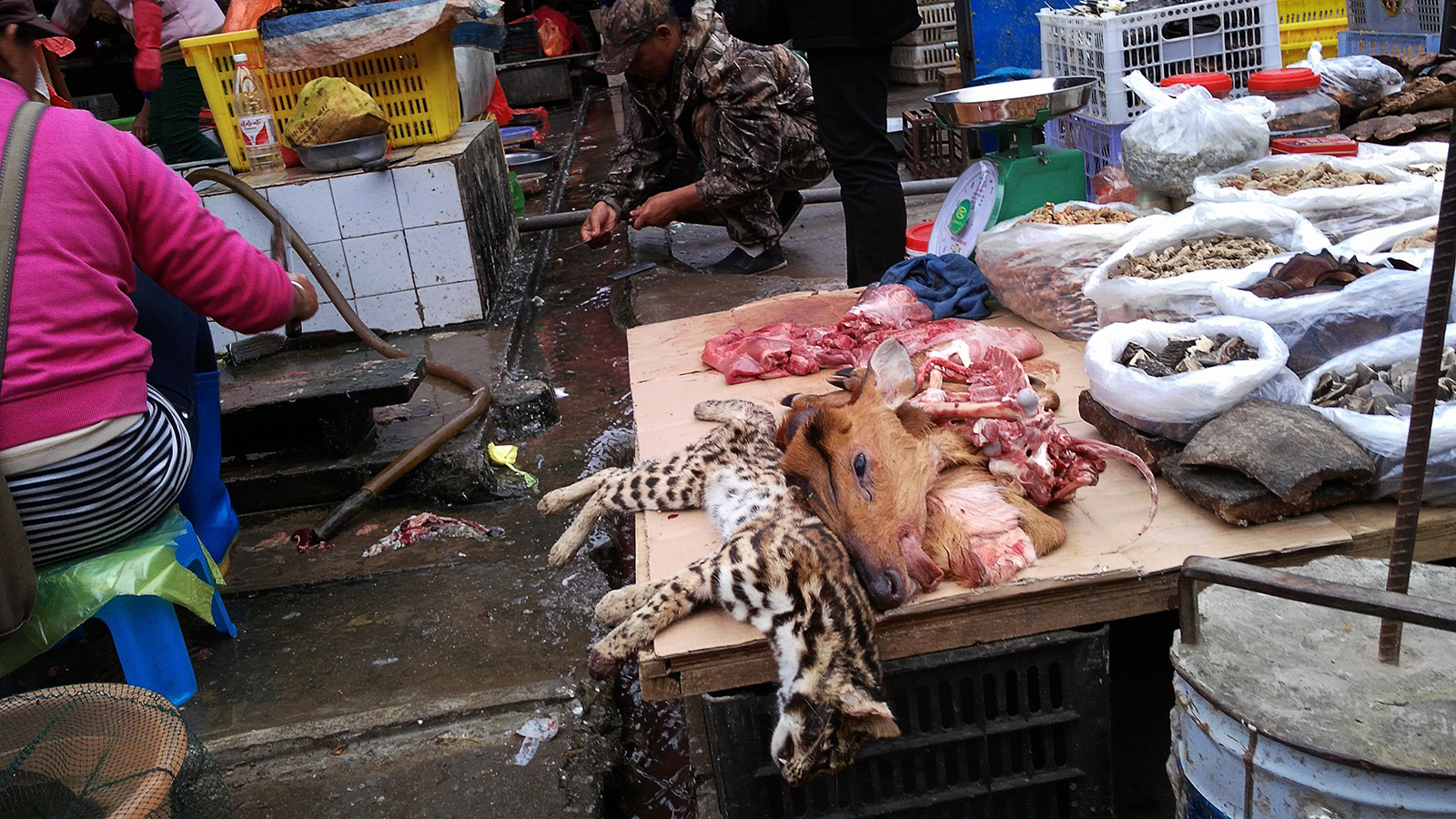 初哥视频,初哥延边烧烤