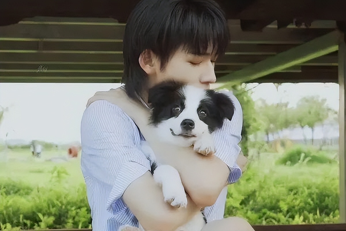 关晓彤养过哪些宠物,关晓彤在家逗狗