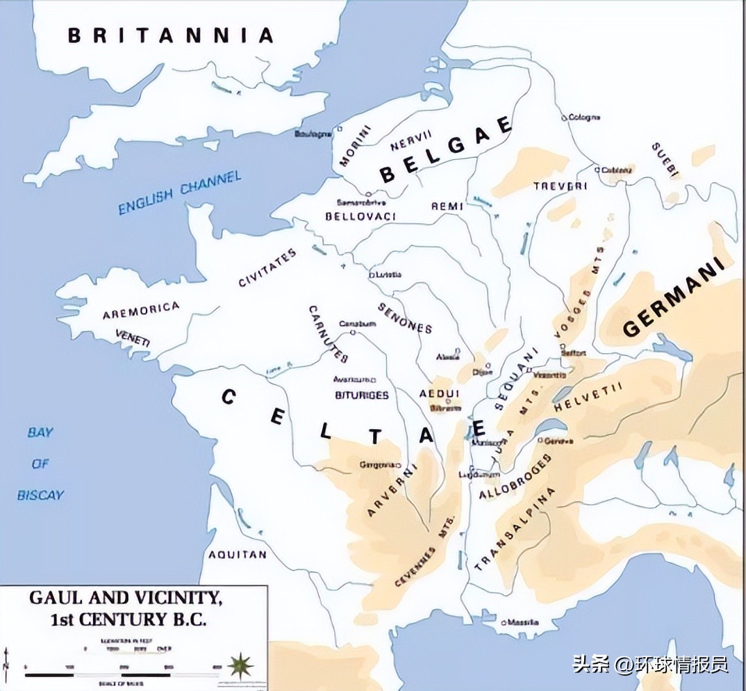 法国人的精神象征,为什么法国人自称高卢雄鸡
