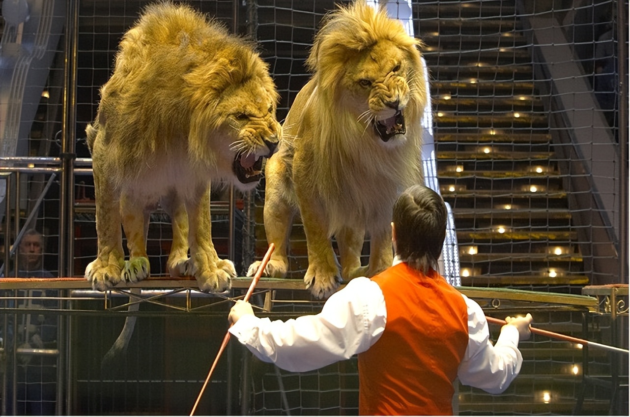 俄罗斯国粹国家大马戏,俄罗斯国粹芭蕾舞