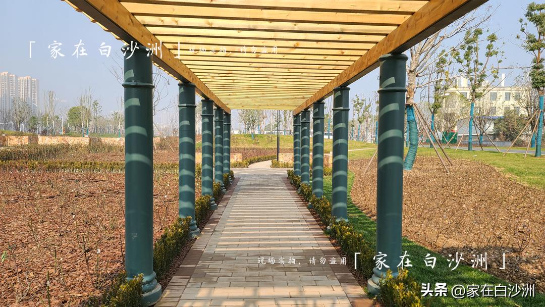 儿童乐园草坪,体育公园儿童足球场