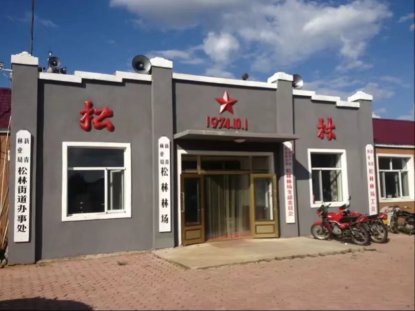 1991年伊春林区往事,伊春林区往事第十集