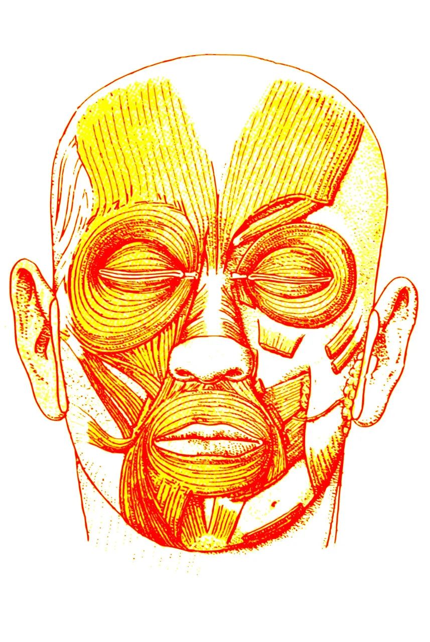 一觉醒来变成单眼皮是什么原因,一觉醒来眼皮一单一双是怎么回事