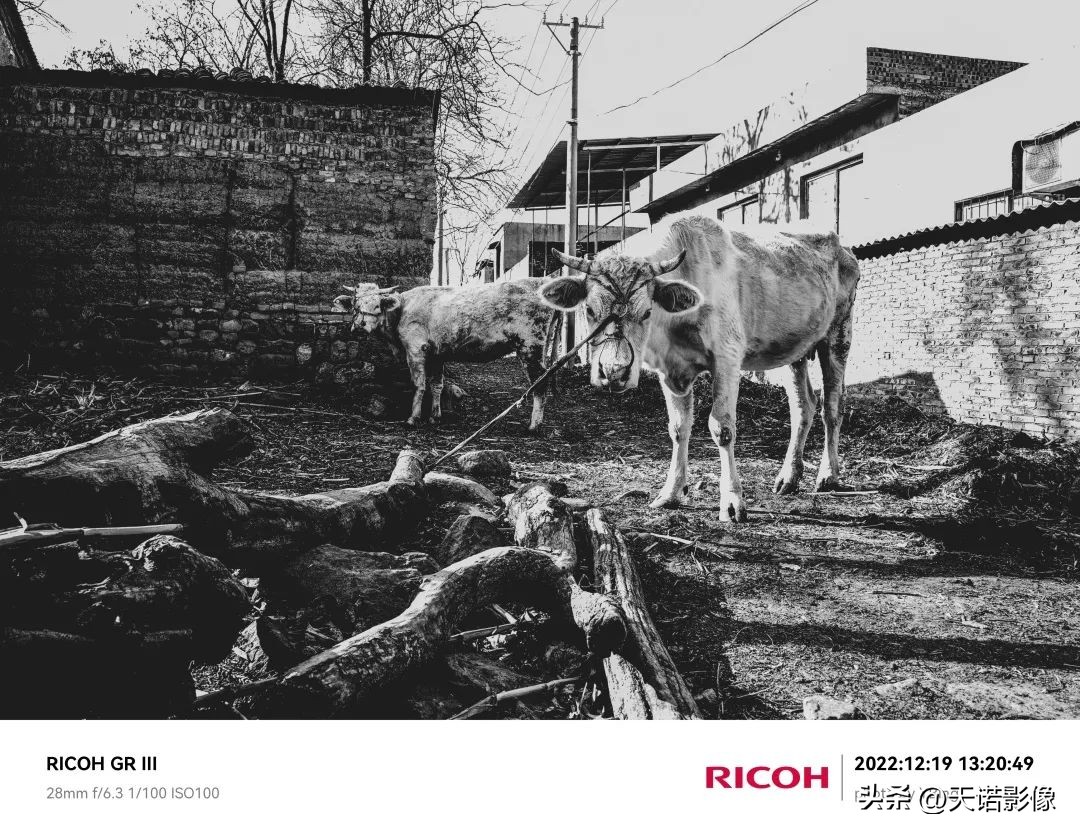 类似理光gr3x相机推荐,理光gr3明星同款