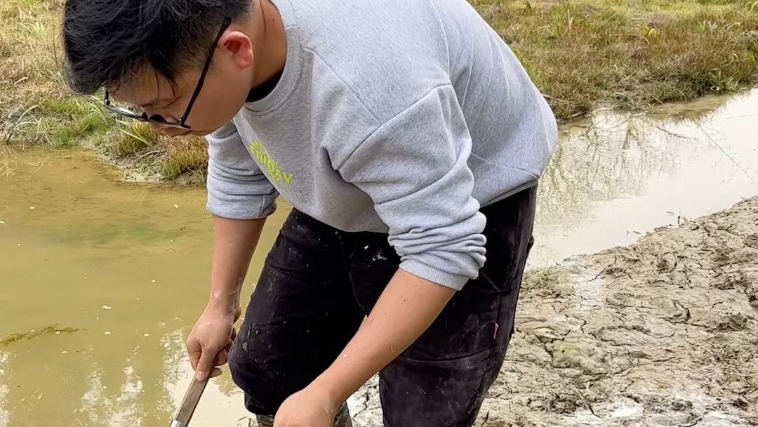 泥鳅水花常见病害及解决方法,泥鳅黄鳝的养殖技术和病害
