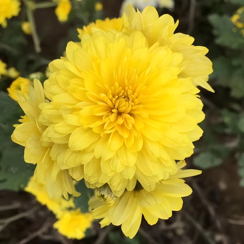 上了年纪哪些食物要少吃,上了年纪需要特意喝药防范疾病吗