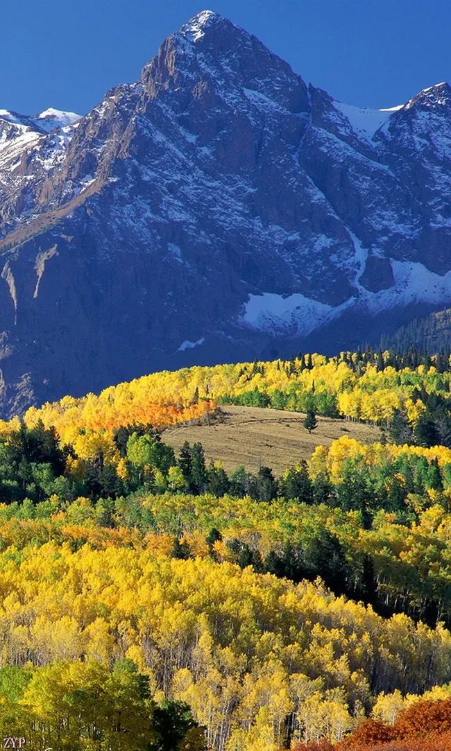 太美了100张人间美照,太美了最美中国红