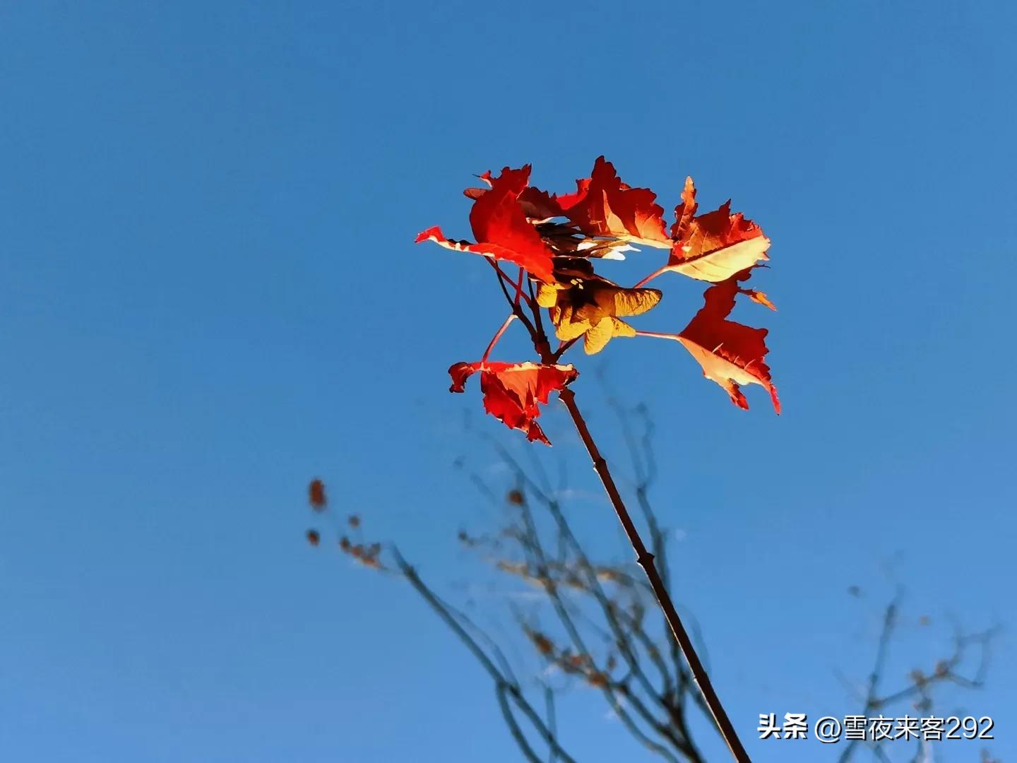 中国人名字与诗词,刻在骨子里的家国情怀文字