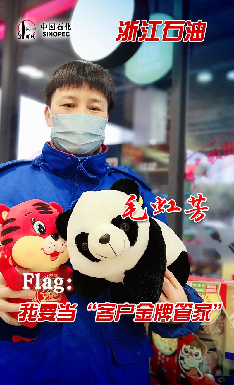 中国石化企业的现状,中国石化国内最新项目