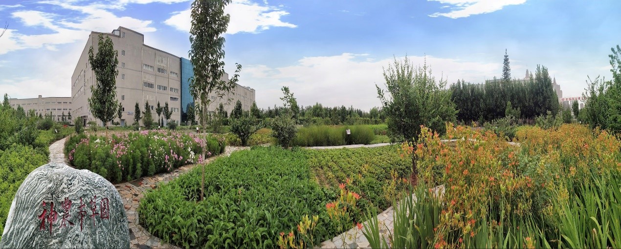 以岭药业厂区视频,以岭药业公司都做什么产品