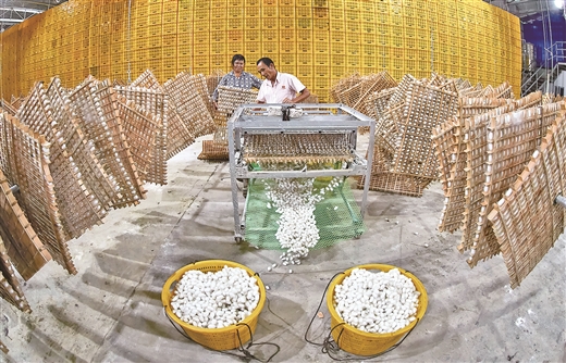 梧州新规划扩建规模,梧州新兴路改造