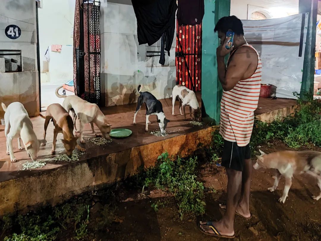 集中营六记,集中营逃亡7年