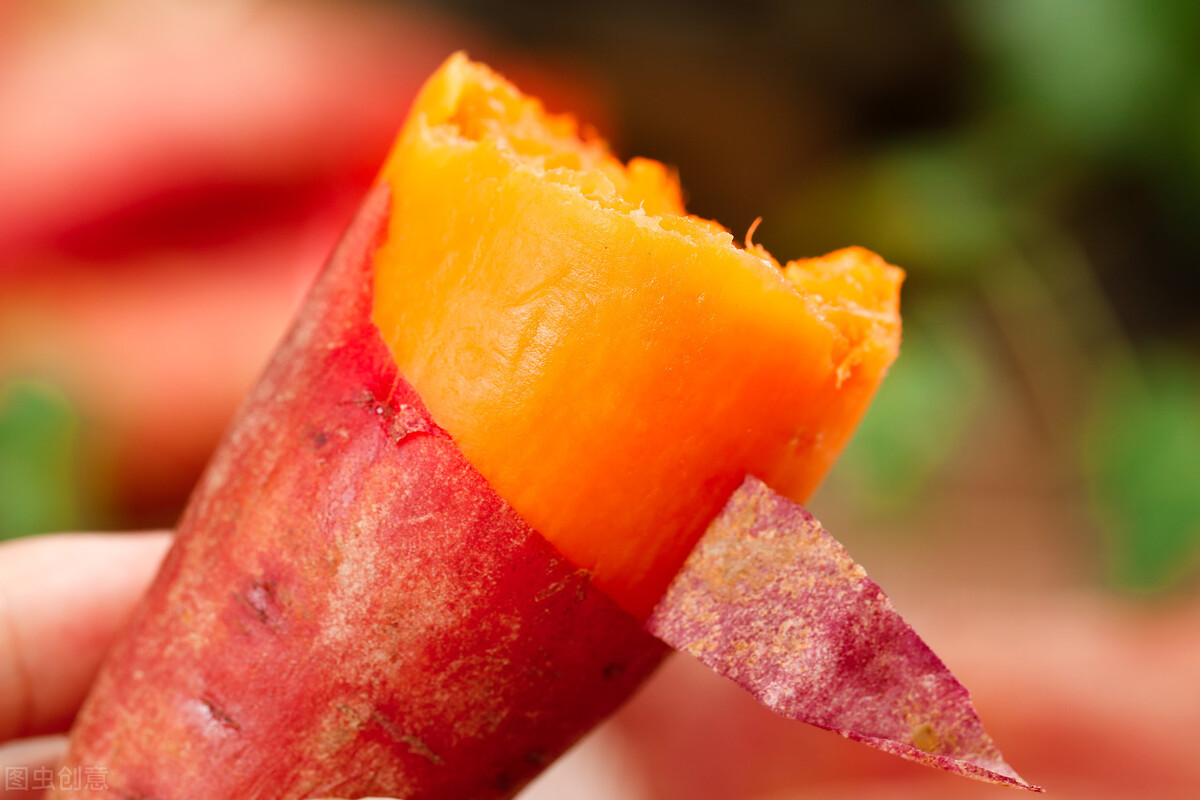 怎样保存红薯才能保存时间更长,保存红薯最正确的方法