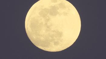 马小路新款三脚架mt1542评测,马小路mt34评测