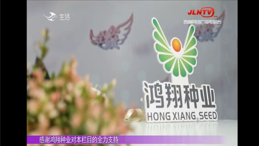 「全城热恋」走红十二年：一档地方综艺的启发