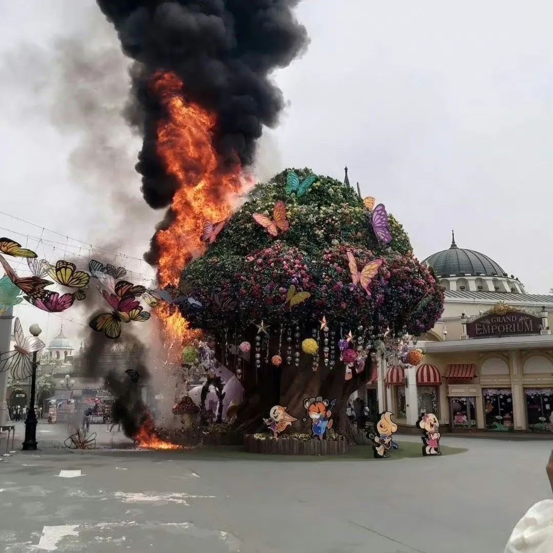 韩国爱宝乐园失火熊猫怎么样了,熊猫让爱宝乐园大火吗
