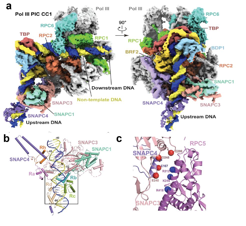 复旦医学院今年科研最新成果,复旦大学最新科研消息