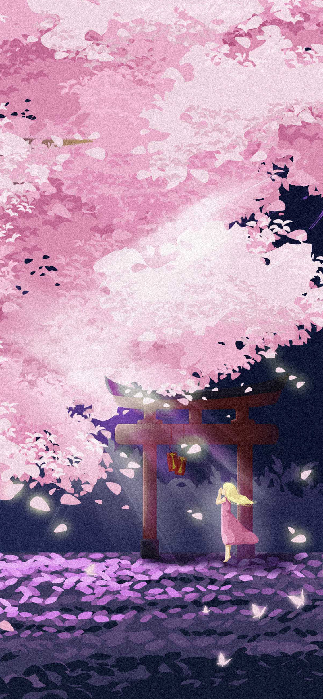 手机型号壁纸图片,169手机壁纸尺寸