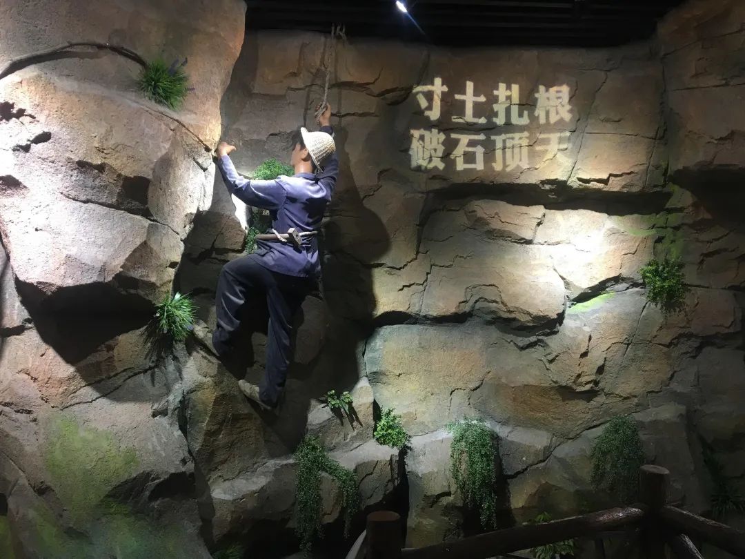 莱芜房干精神展馆要门票吗,房干精神展览馆