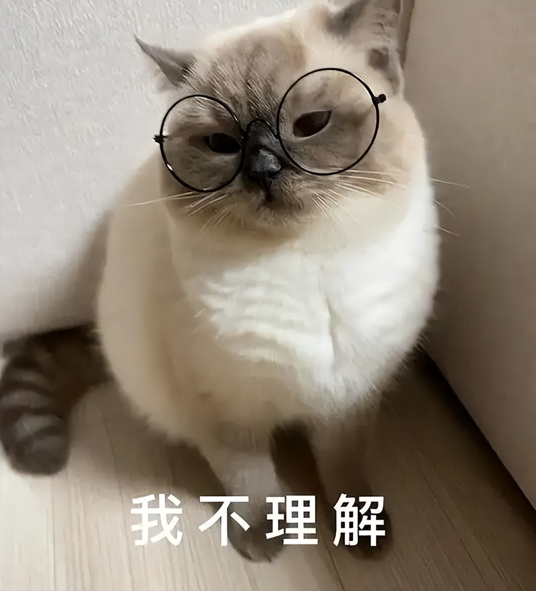 猫不洗澡为什么不臭,哪种猫不掉毛又好养还温顺又便宜